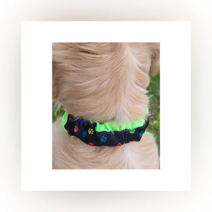 Dog Bandana  Scrunchie - Paw Prints