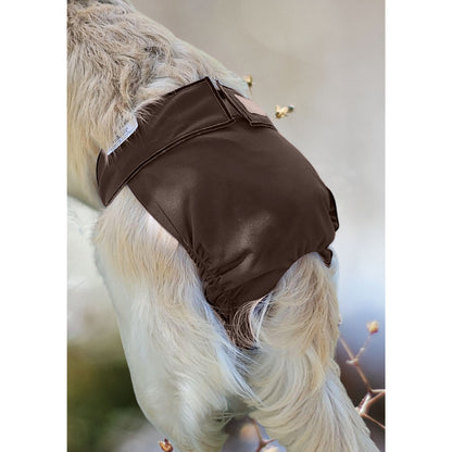 Female Dog Diaper Britches - With Tail Opening-Chocolate Brown - Jack & Jill Dog Diapers