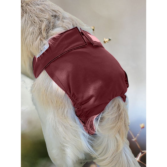 Female Dog Diaper  Britches -With Tail Opening- Burgundy - Jack & Jill Dog Diapers