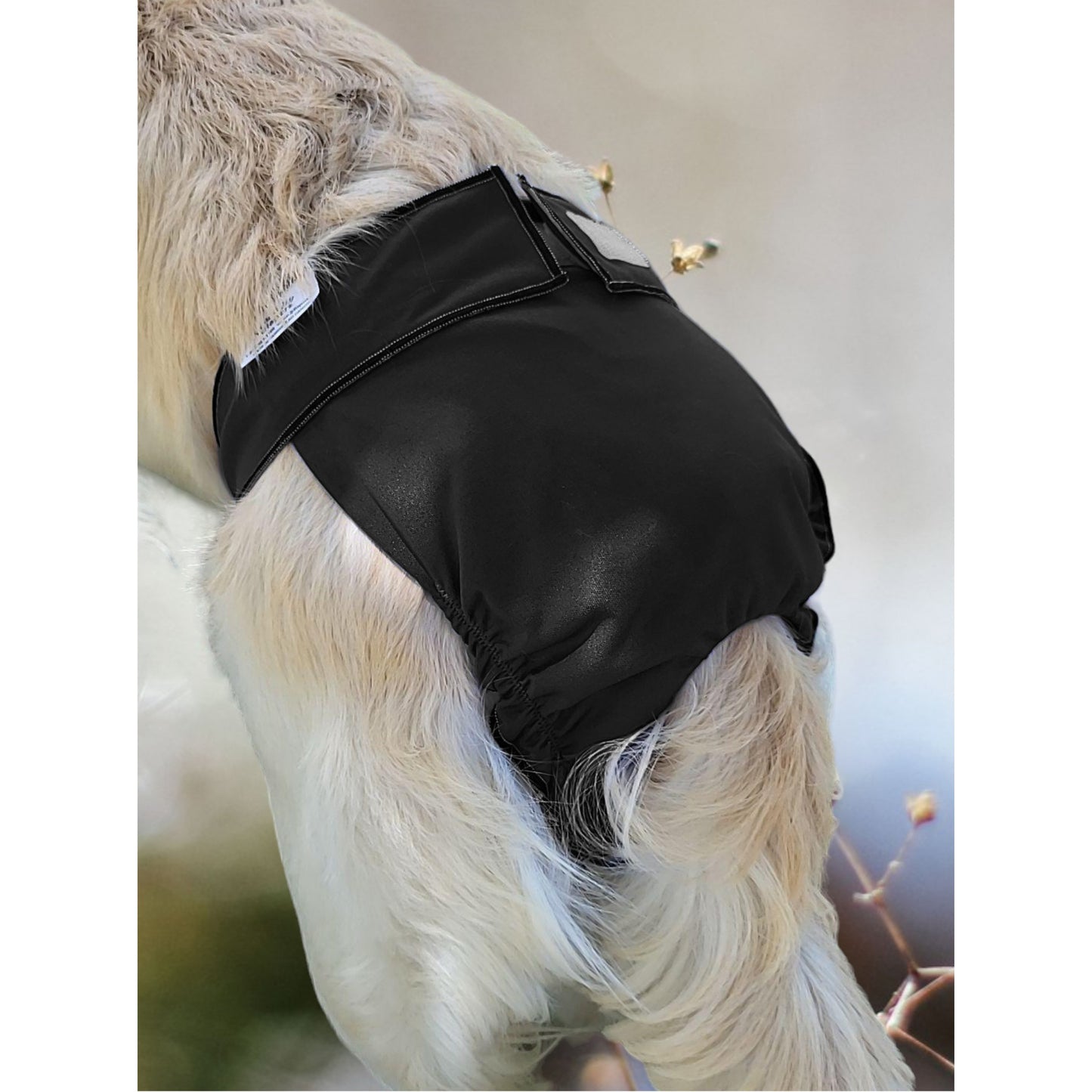 Female Dog Diaper – Britches -With Tail Opening- Black - Jack & Jill Dog Diapers