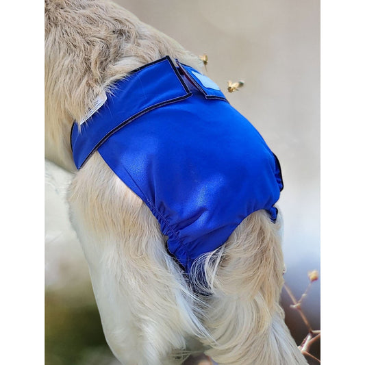 Female Dog Diaper  Britches - With Tail Opening-Royal Blue - Jack & Jill Dog Diapers