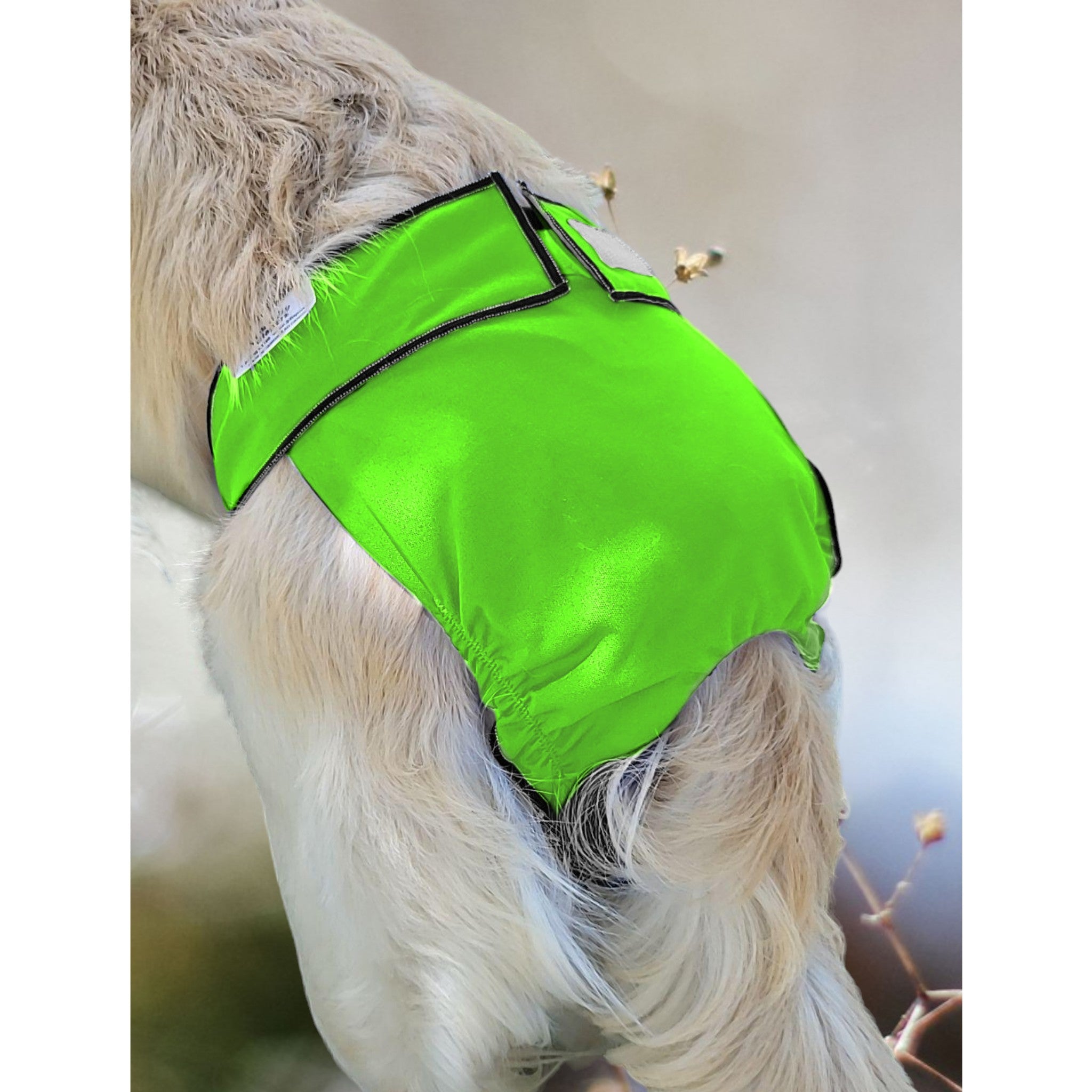 Female Dog Diaper Britches With Tail Opening Neon Green