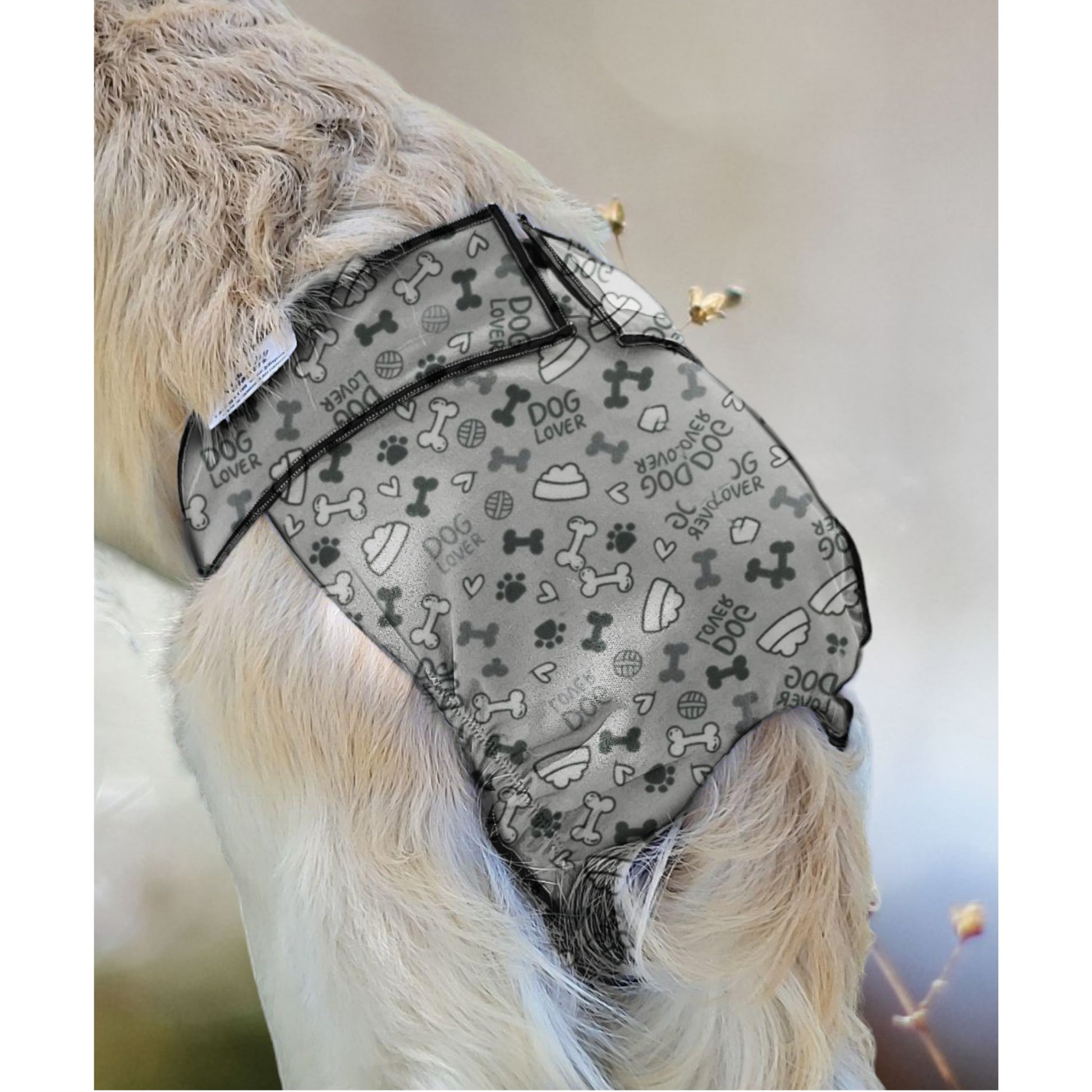 Female Dog Diaper  Britches - Grey Bones - Jack & Jill Dog Diapers