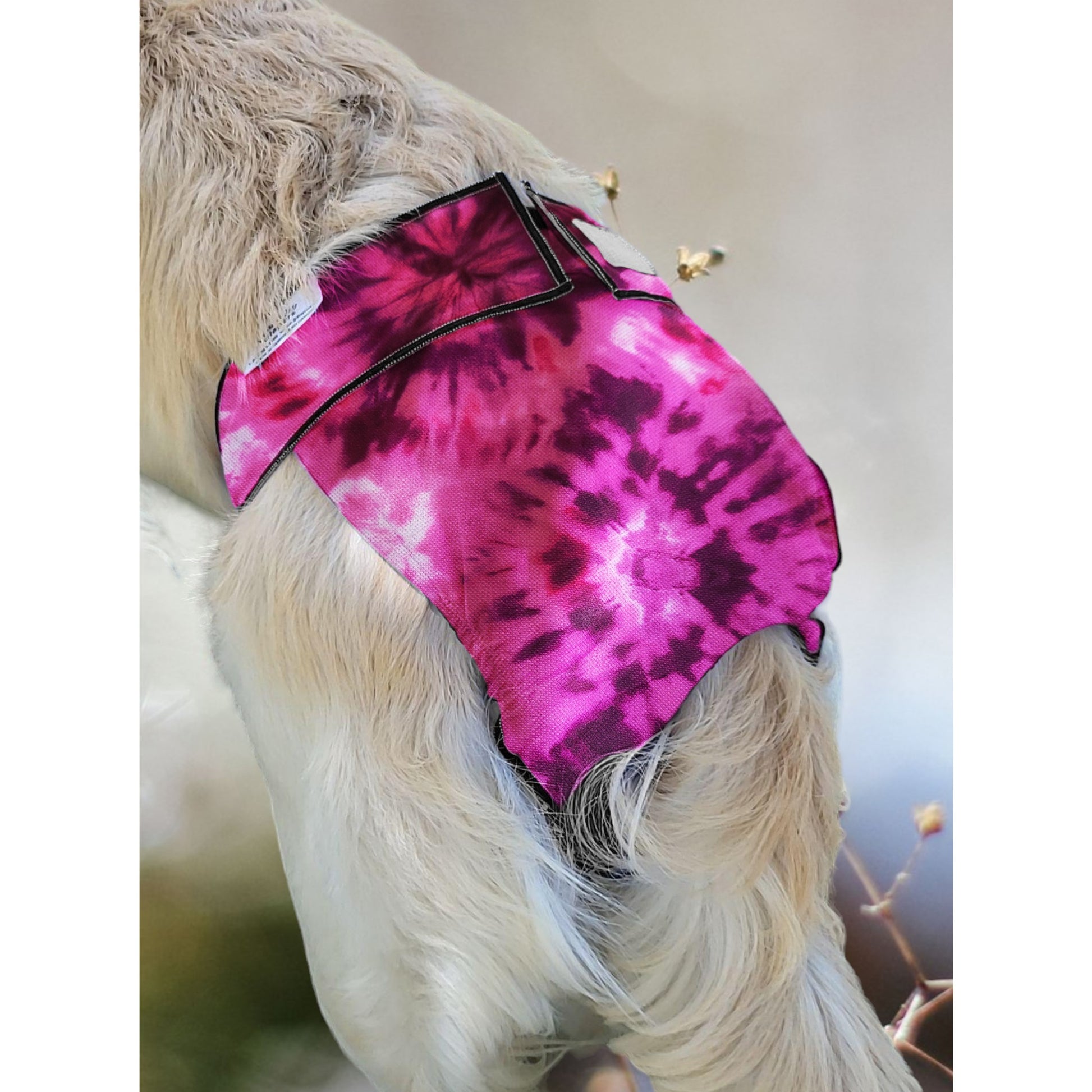 Female Dog Diaper  Britches - With Tail Opening- Purple Tie Dye - Jack & Jill Dog Diapers