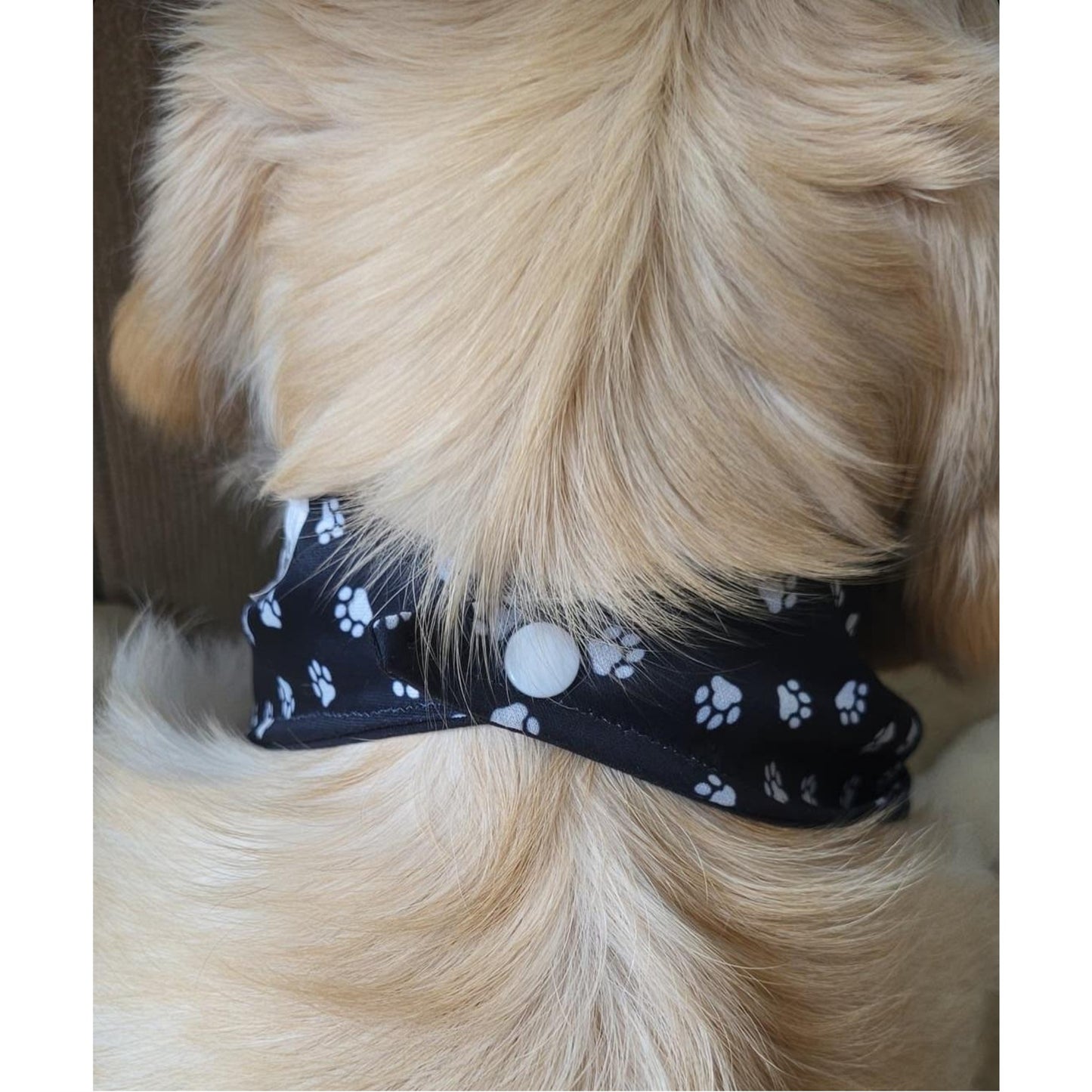 Trendy & Weatherproof Dog Bandana | Snap-On |Paw Print