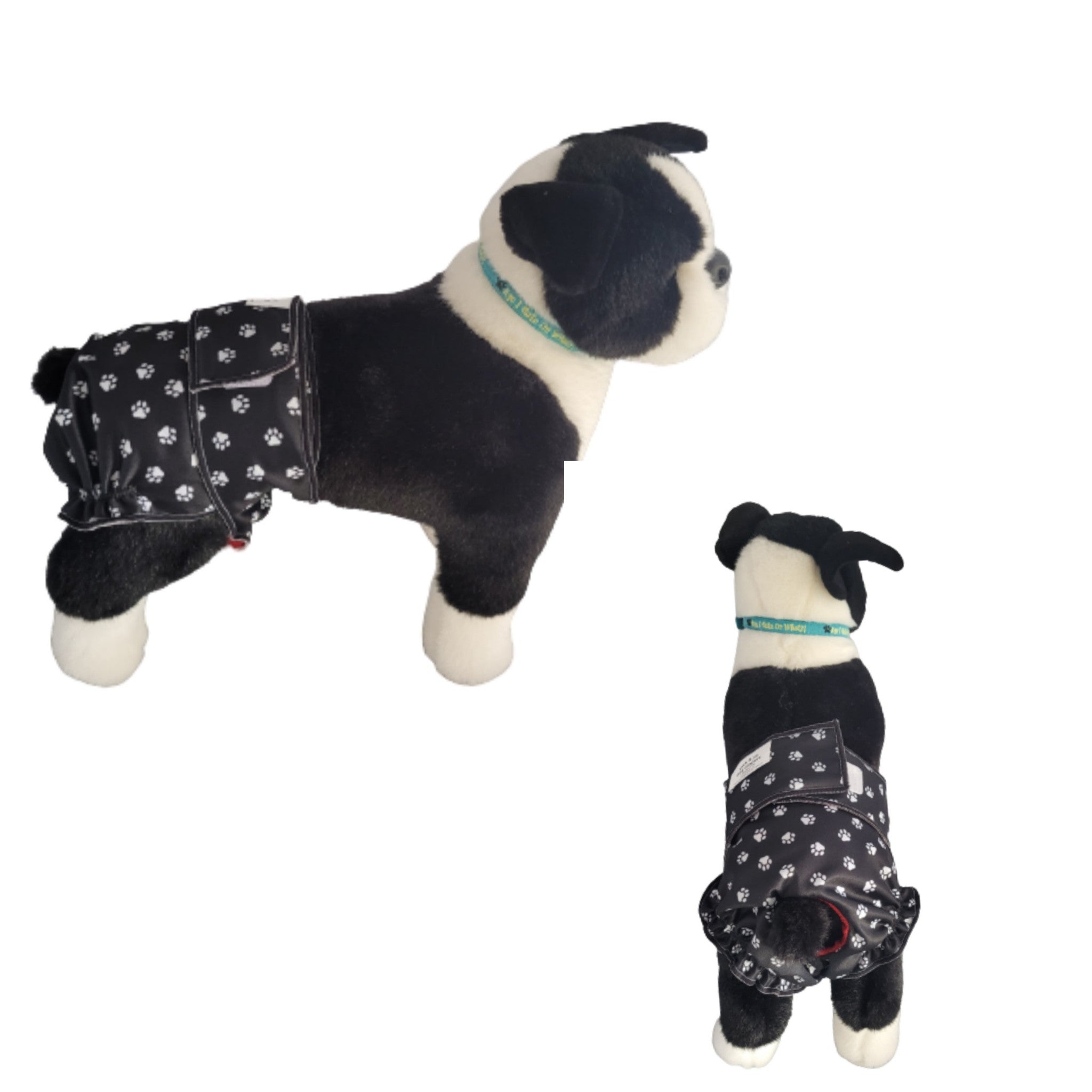 Boston shop terrier diapers