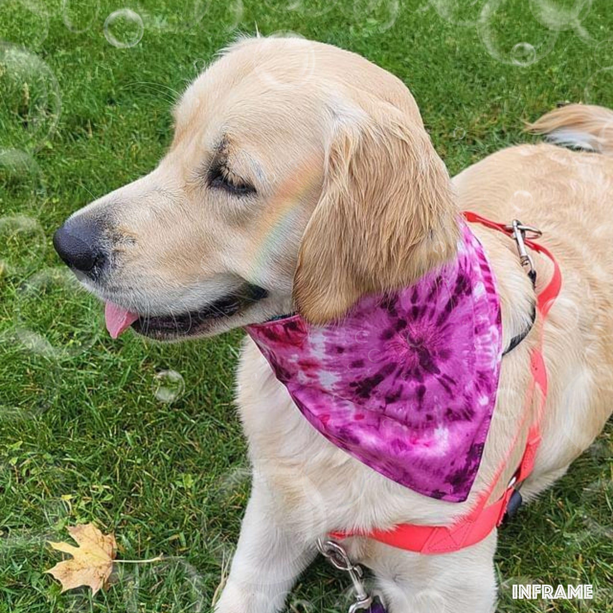 Pink bandana for store dogs