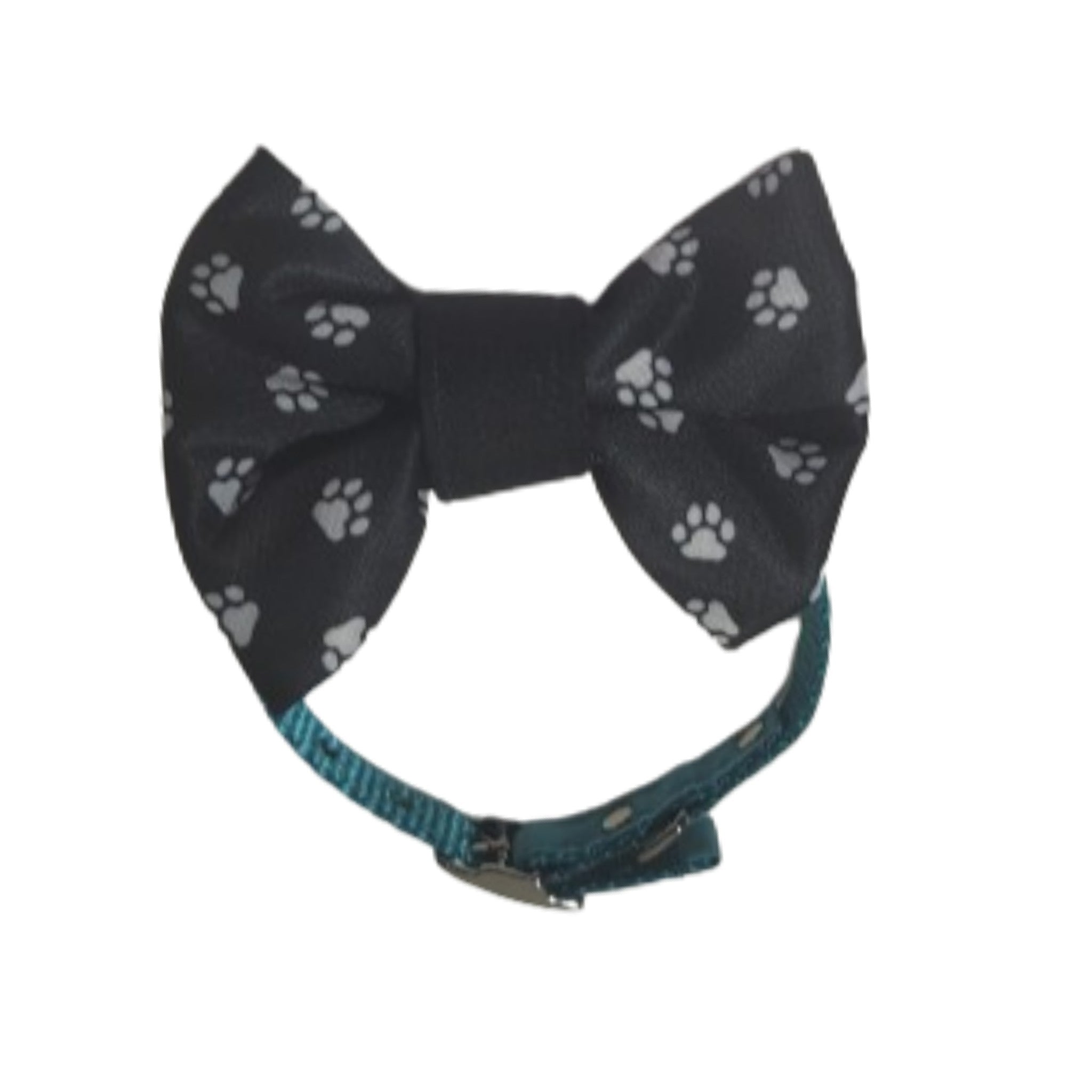 Bow tie shop and collar