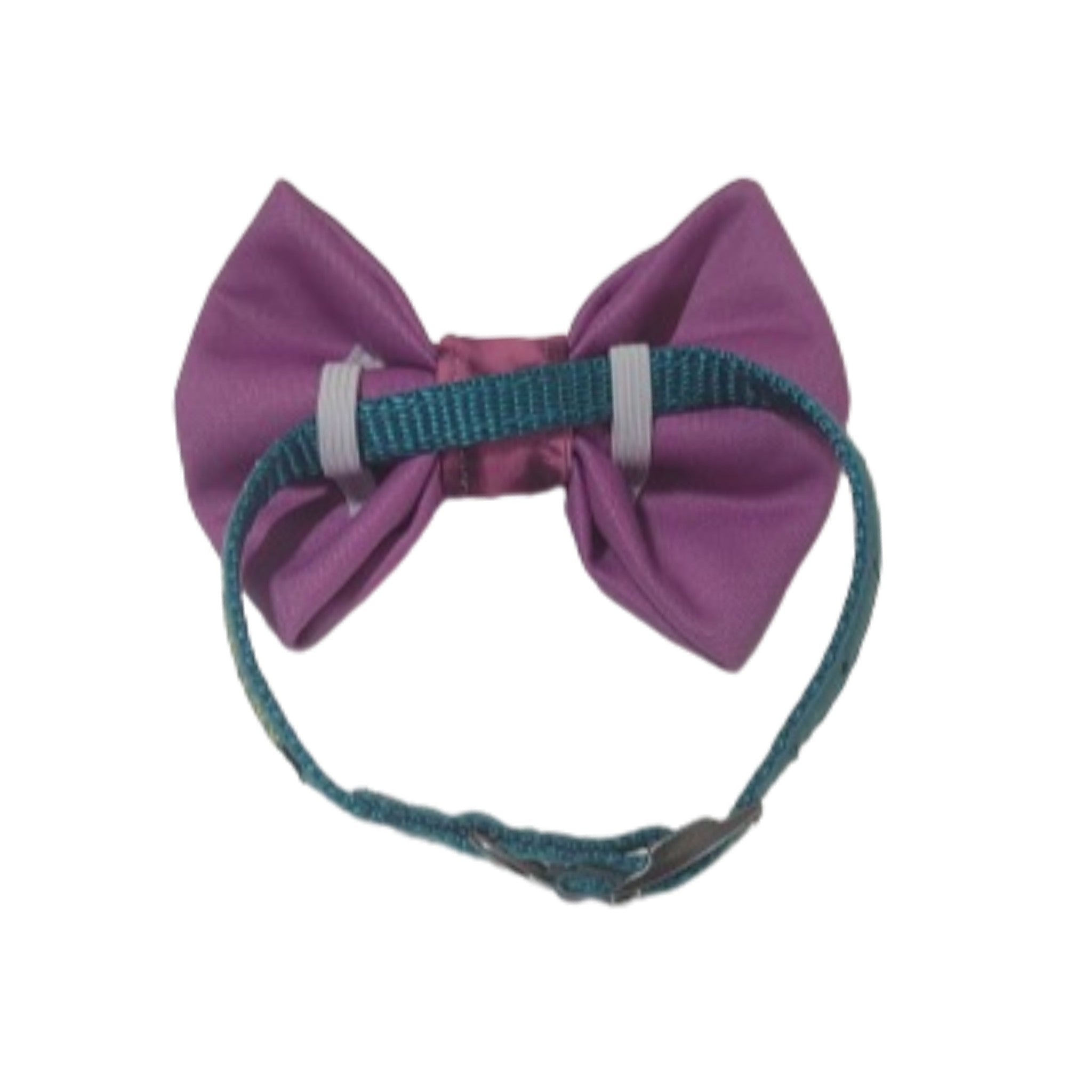 Purple dog hot sale bow tie