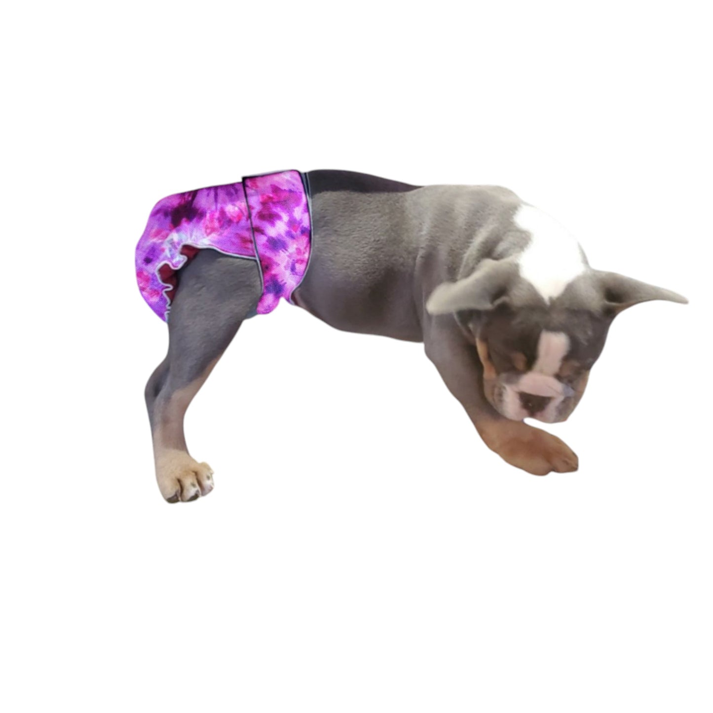 Female Dog Diapers (Britches) | No Tail Opening | Purple Tie Dye Print