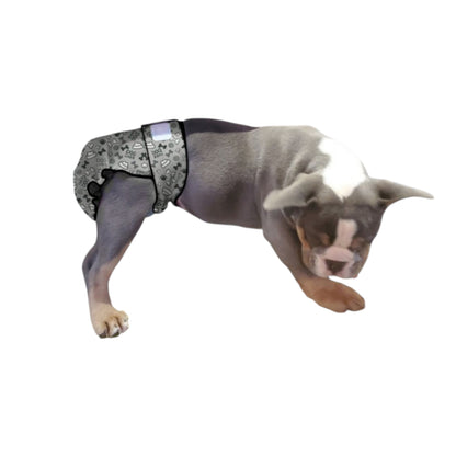 Female Dog Diapers (Britches) | No Tail Opening | Grey Bones Print