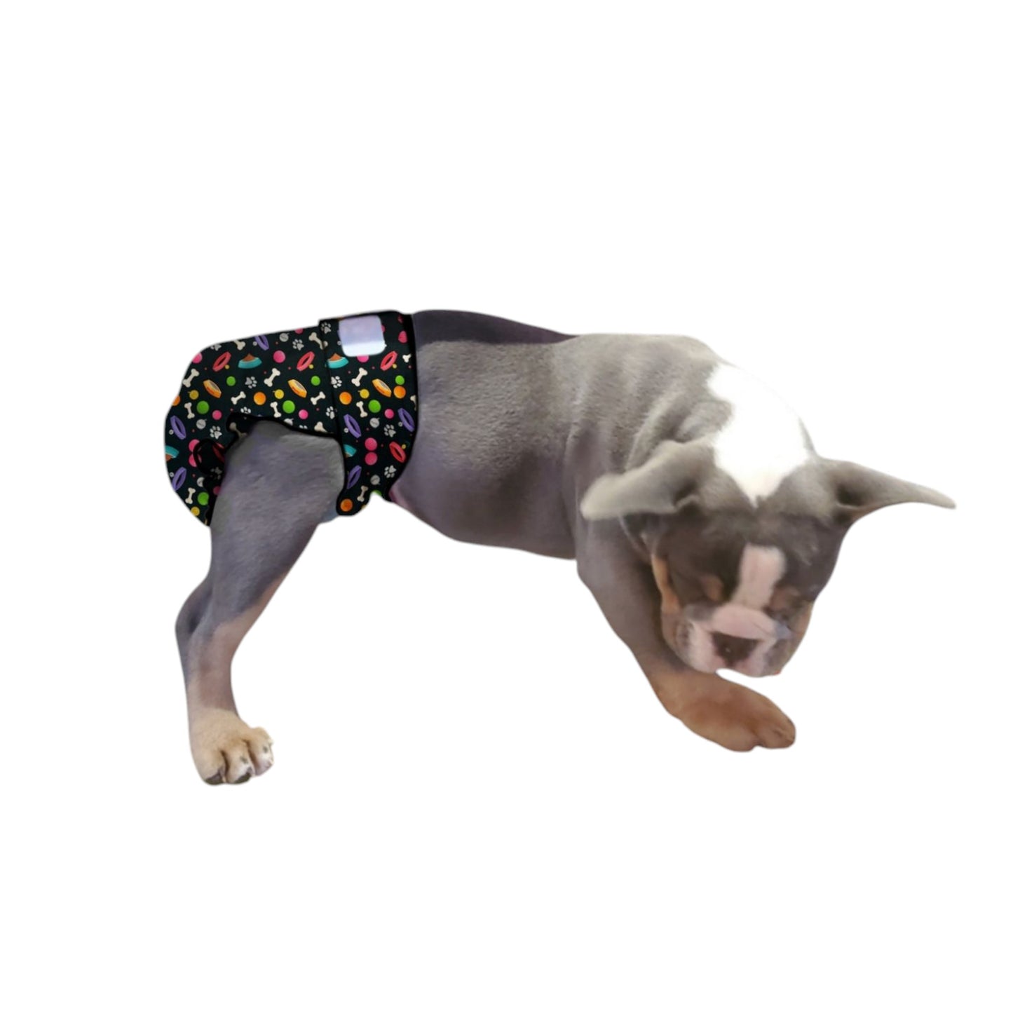 Female Dog Diapers (Britches) | No Tail Opening  Playful Print