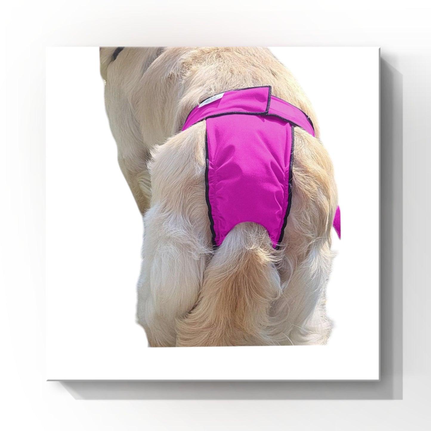 High-Cut Dog Diaper Britches | Pink Print