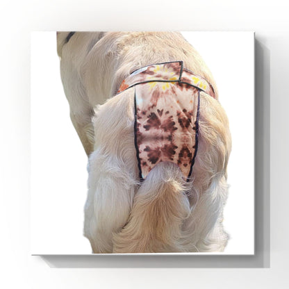 High-Cut Dog Diaper Britches | Brown Tie Dye