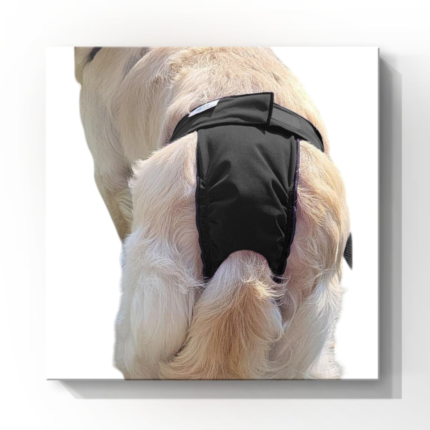 High-Cut Dog Diaper Britches | Black Print