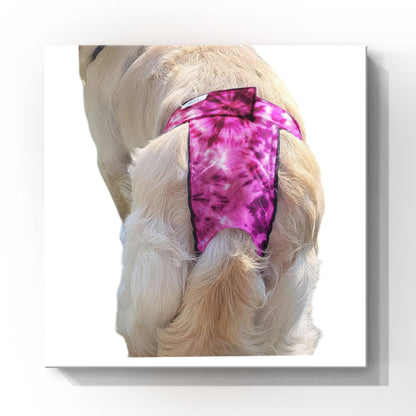 High-Cut Dog Diaper Britches | Purple Tie Dye Print