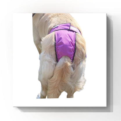 High-Cut Dog Diaper Britches | Violet Print