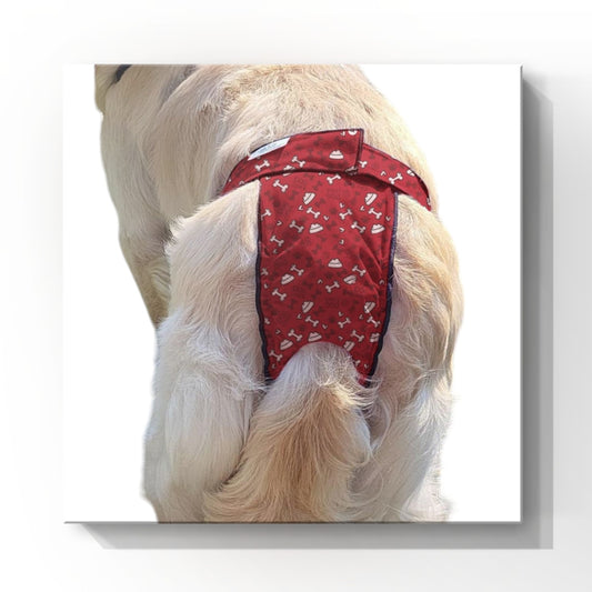 High-Cut Dog Diaper Britches | Red Bones Print