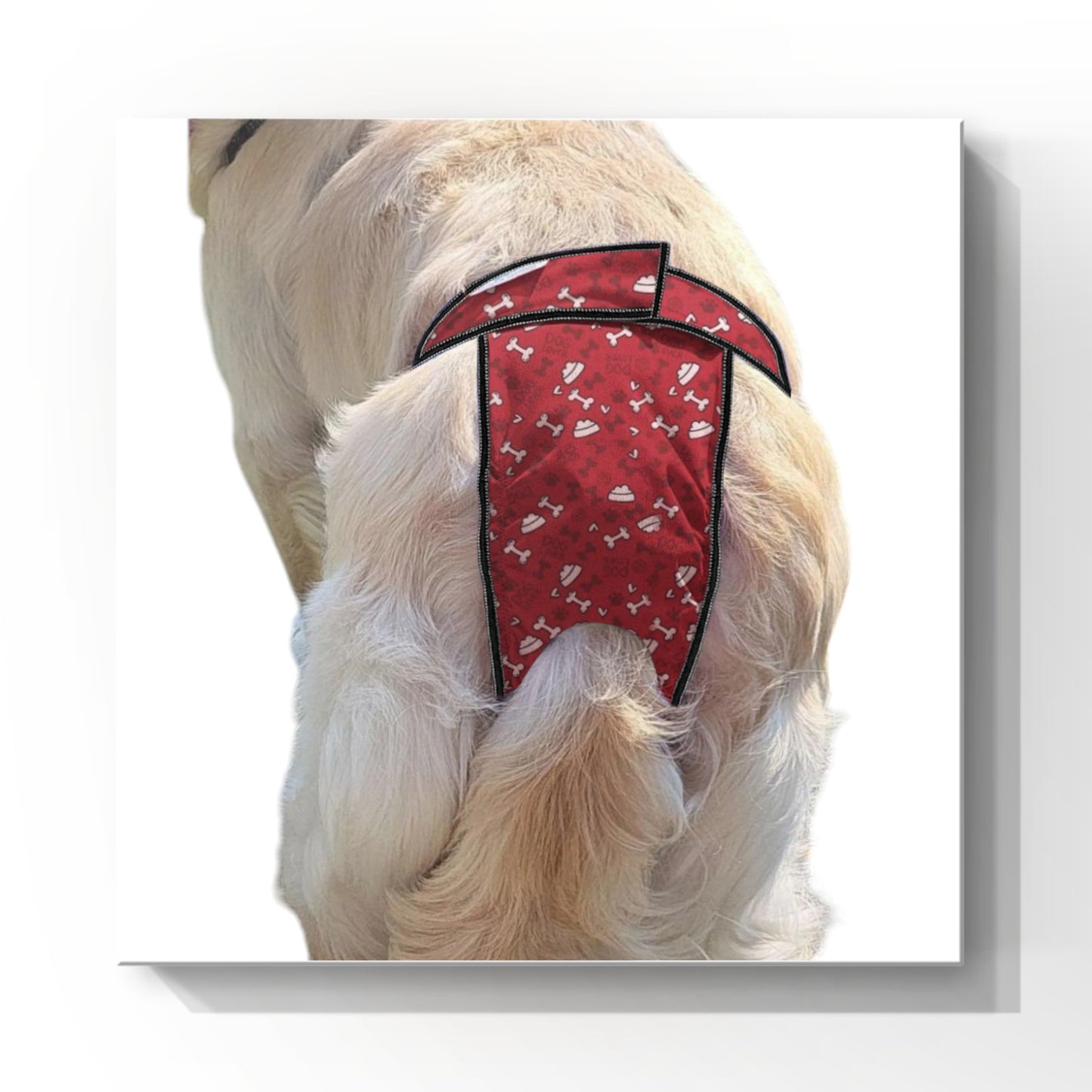 Female Dog Diapers (Britches) - Washable
