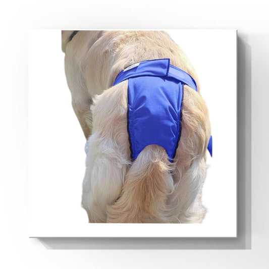 High-Cut Dog Diaper Britches | Royal Blue Print