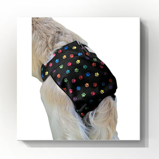Female Dog Diaper| Britches |With Tail Opening| Multi  Paw Print