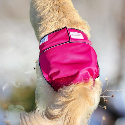 Female Dog Diaper Britches - With Tail Opening-Pink - Jack & Jill Dog Diapers