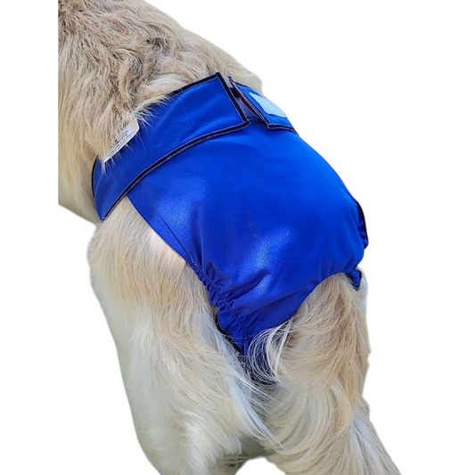 Female Dog Diaper | Britches | With Tail Opening | Royal Blue Print