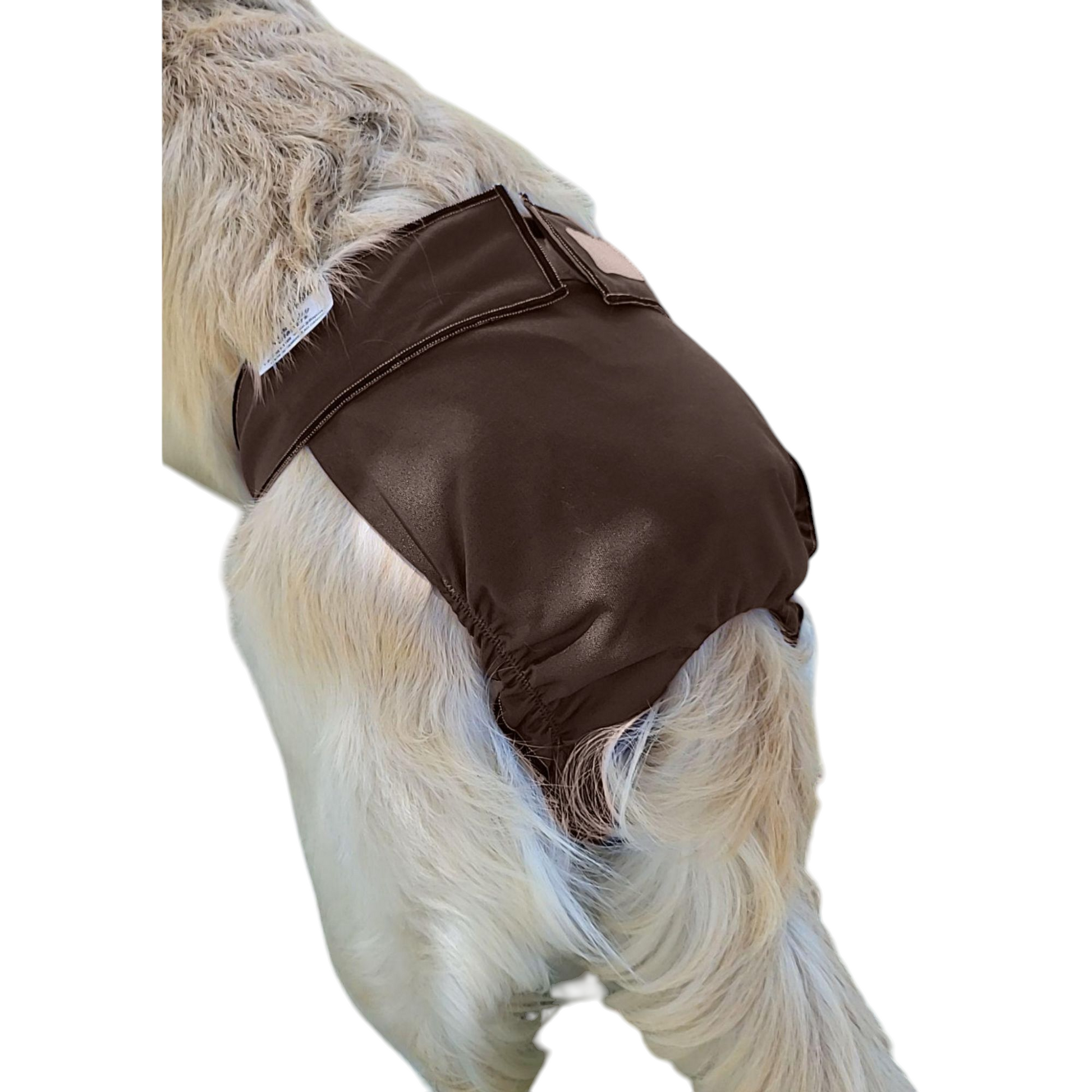 Female Dog Diaper Britches With Tail Opening |Chocolate Brown Print 3X-Small 4-6lbs 10