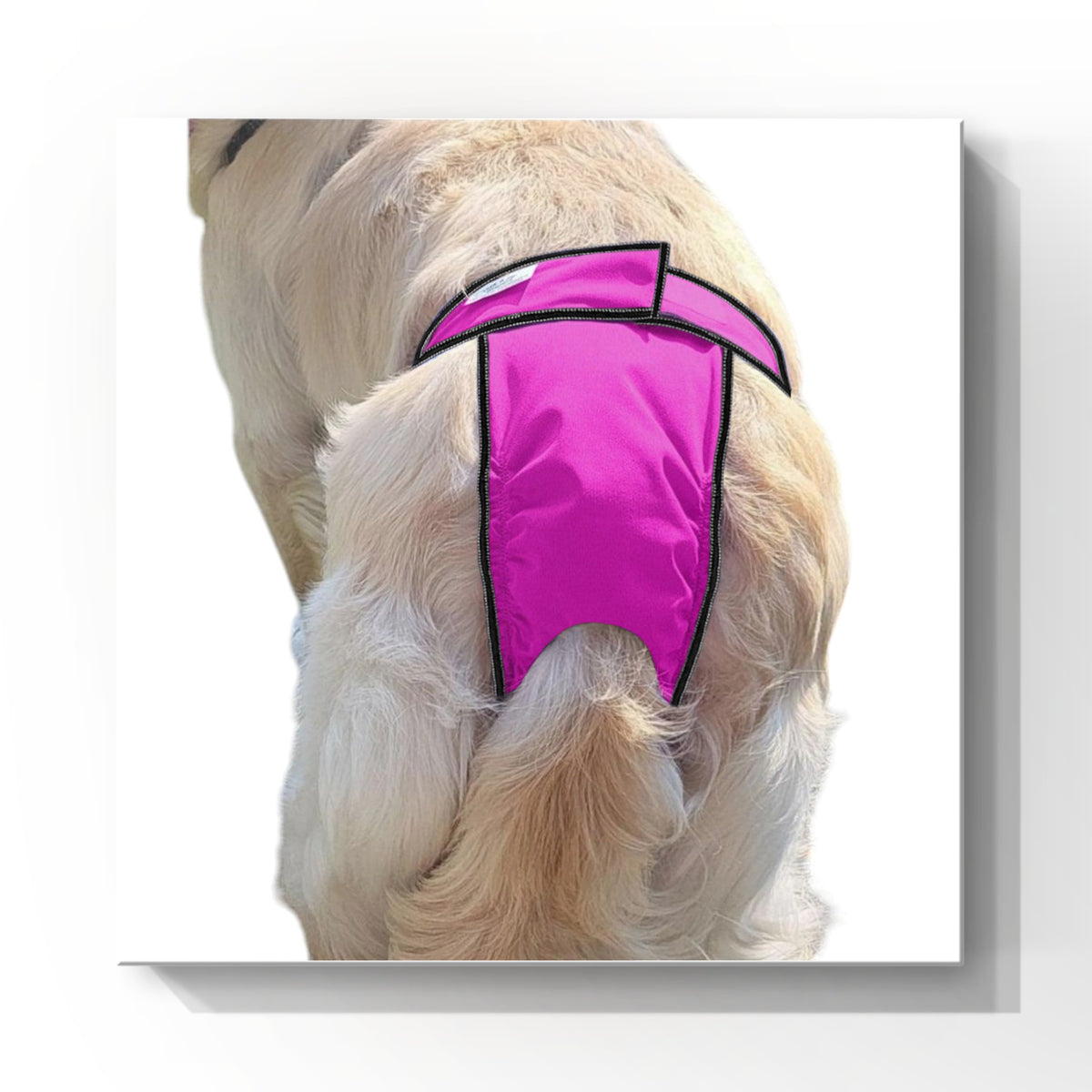 High-cut dog diaper britches in pink print for agility and active dogs