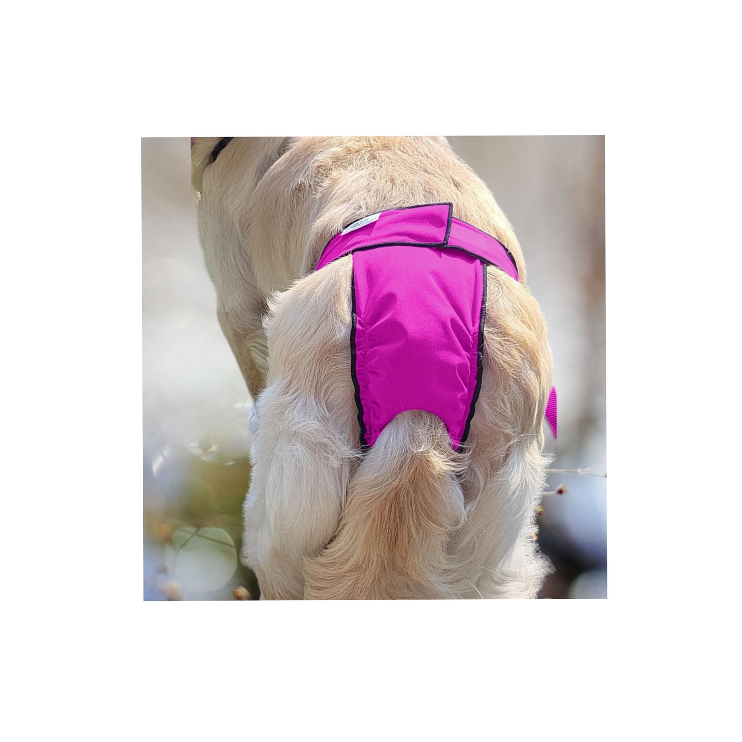 Female Dog Diapers (Britches) - Washable