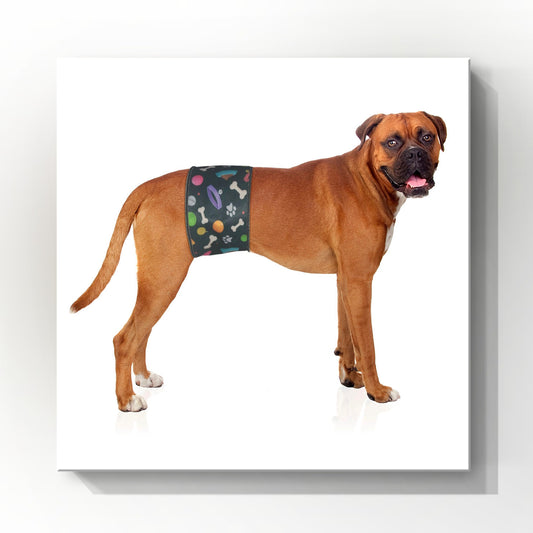 Male Dog Belly Band Wrap |Playful Dog Print |Style 1