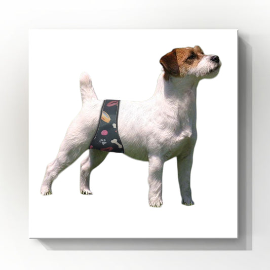 Male Dog Belly Band Wrap | Playful Dog Print |Style 2