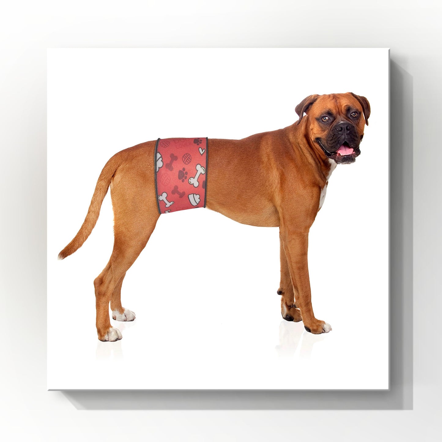 Male Dog Belly Band Wrap | Red Bones Print |Style 1