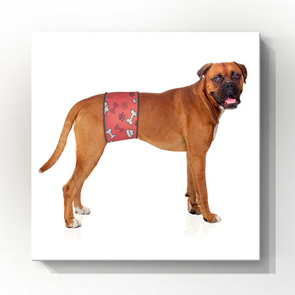 Male Dog Belly Band Wrap | Red Bones Print |Style 1