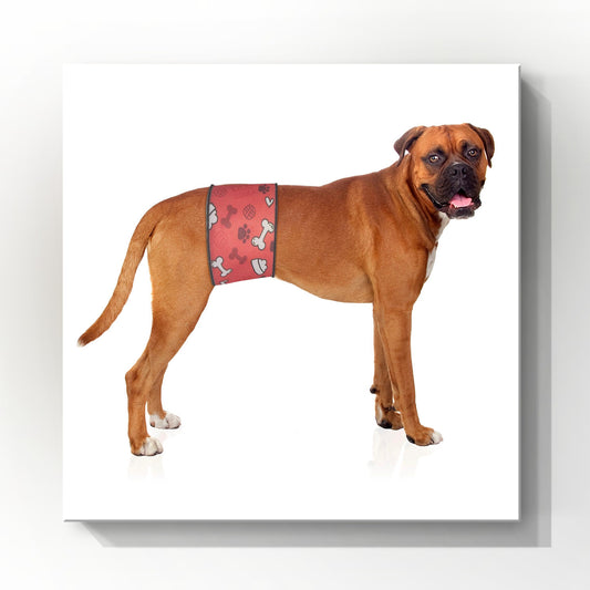 Male Dog Belly Band Wrap | Red Bones Print |Style 1