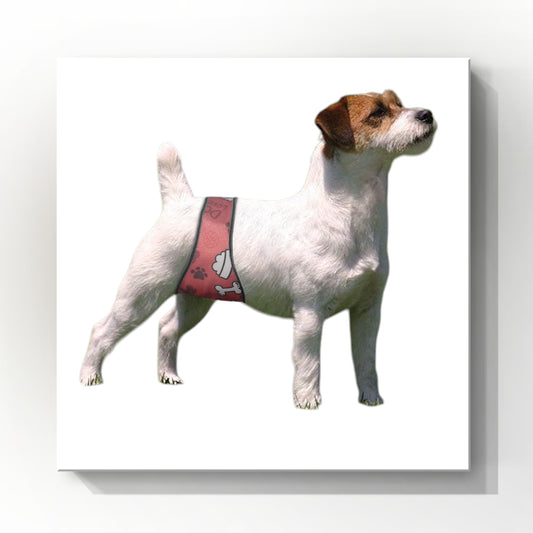 Male Dog Belly Band Wrap | Red Bone Print |Style 2