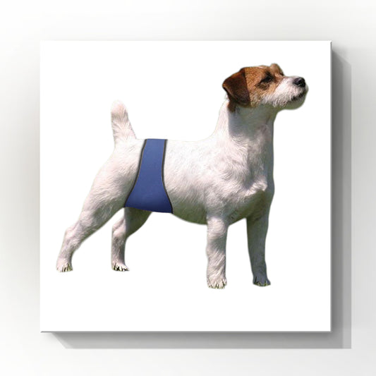 Male Dog Belly Band Wrap |Royal Blue Print| Style 2