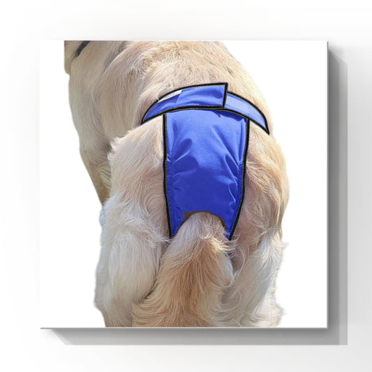 High-Cut Dog Diaper Britches | Royal Blue Print