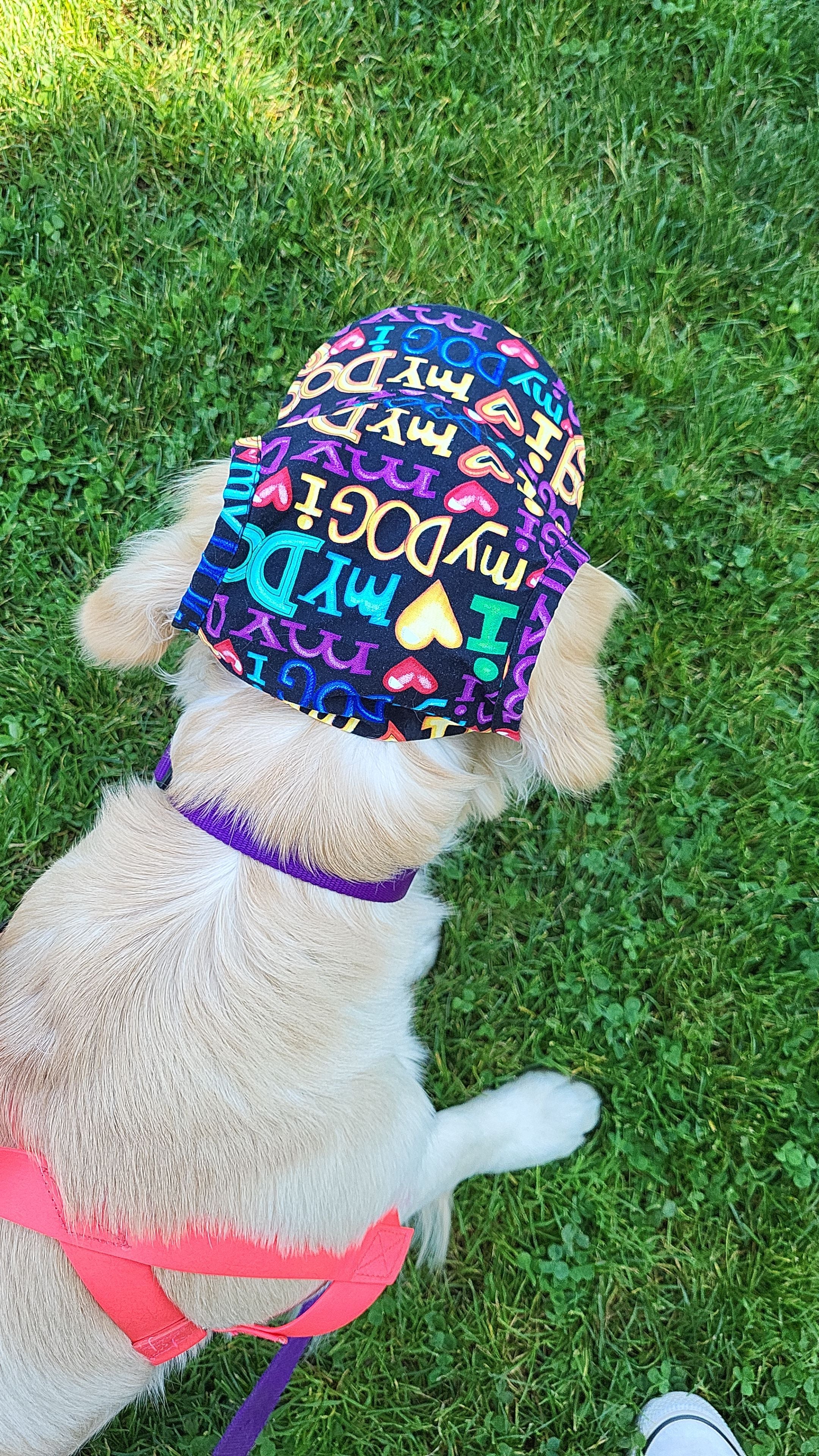 Dog mom visor best sale