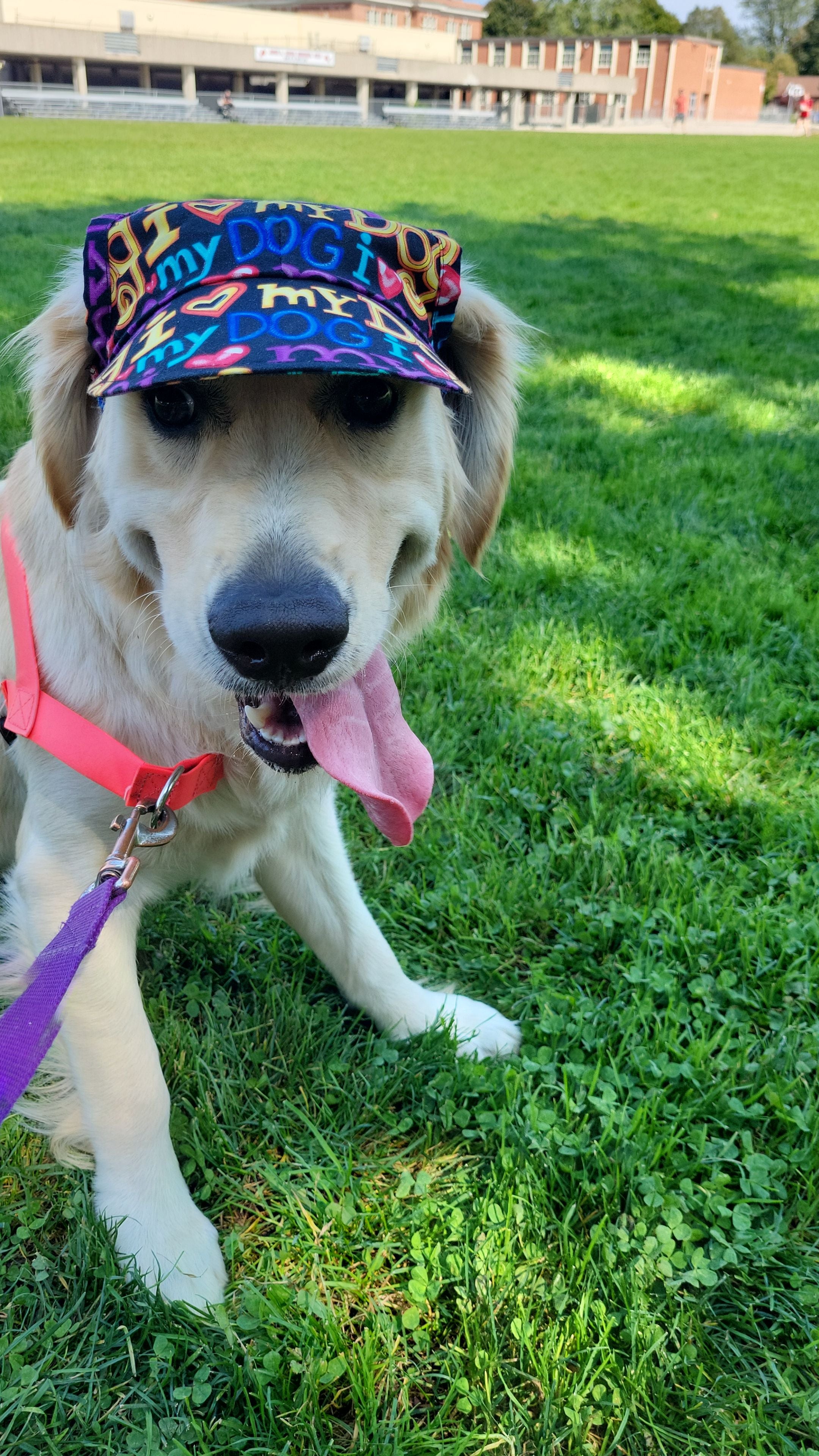 Dog sun clearance cap