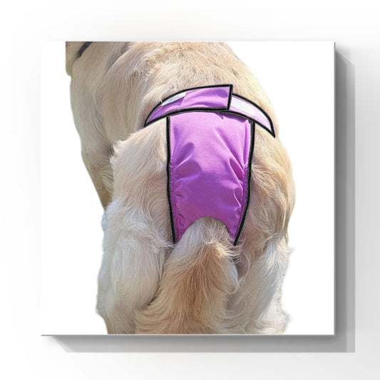 High-Cut Dog Diaper Britches | Violet Print