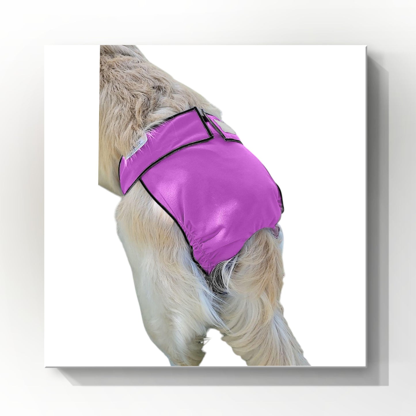 Female Dog Diaper | Britches | With Tail Opening | Violet Print
