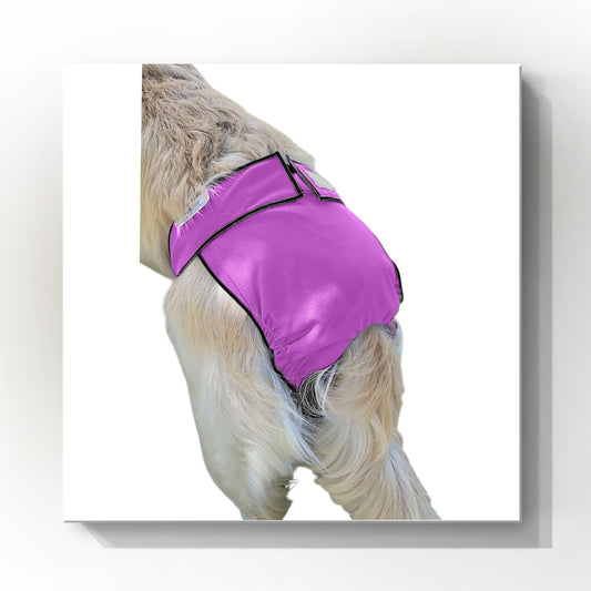 Female Dog Diaper | Britches | With Tail Opening | Violet Print