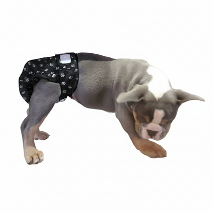 No-Tail Female Dog Diaper – Full Coverage for Stubby Tails