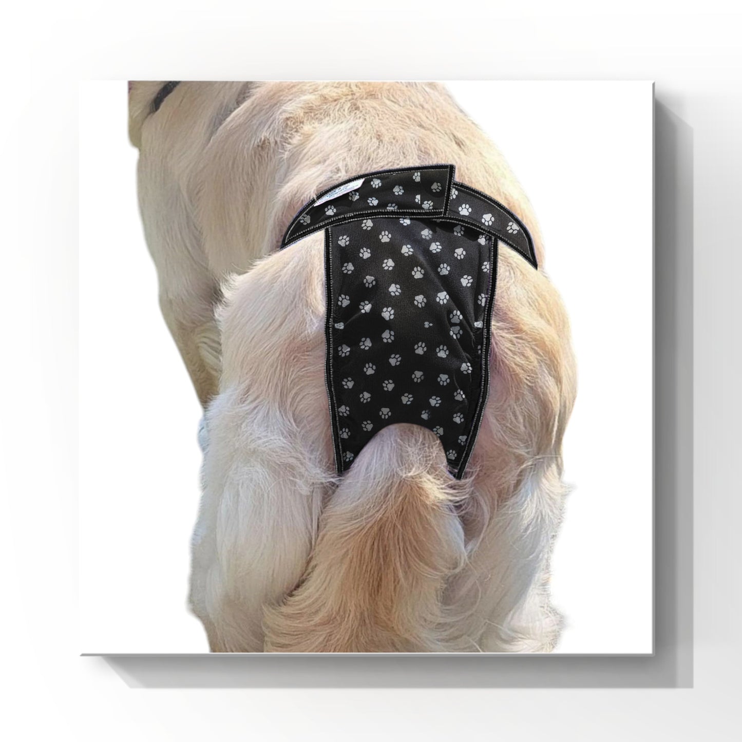 Female Dog Diapers (Britches)- Washable High-Cut