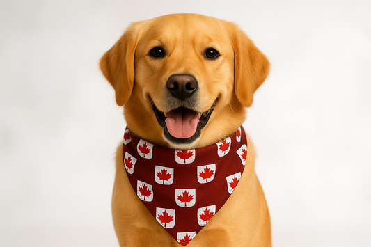 Snap-On Dog Bandana - Water-Resistant & Reversible
