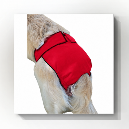Original Classic Fit Female Dog Diapers
