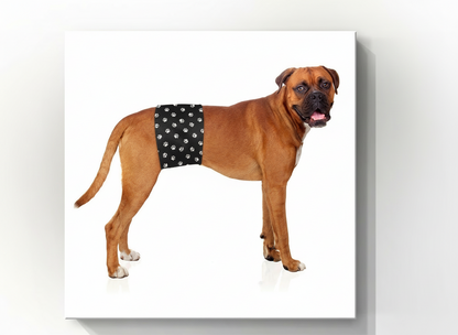 Style 1 Male Belly Band – Wide-Coverage Wrap for Marking & Incontinence