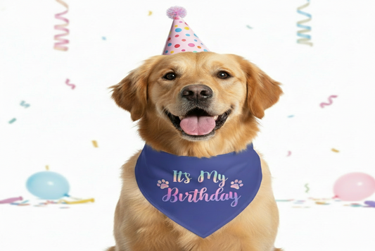 Holographic Snap-On Dog Bandana - IT'S MY BIRTHDAY
