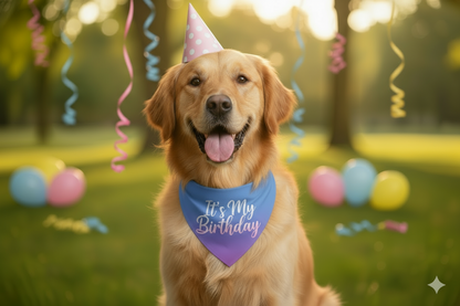 Holographic Snap-On Dog Bandana - IT'S MY BIRTHDAY